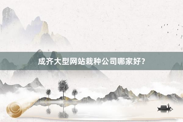 成齐大型网站栽种公司哪家好？